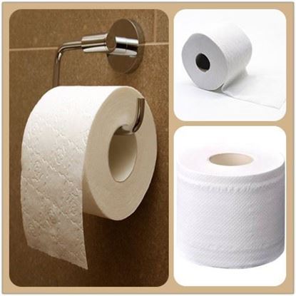 Picture of Toilet Roll Paper