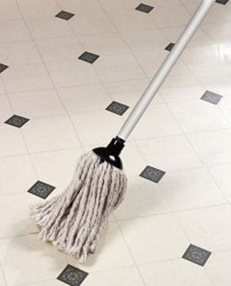 Picture of Mop with Metal Handle