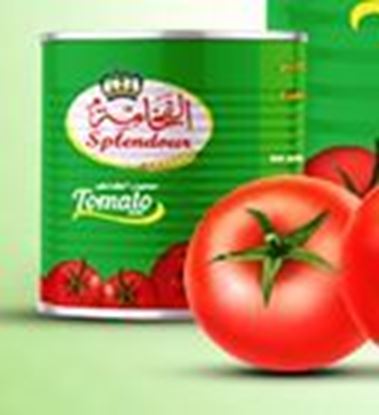 صورة الفخامة معجون طماطم 70 جرام